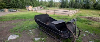 Lantidyllen blev affärsidé
