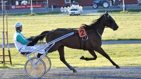 Travtalangen Flicka Rigas vann V65-1 på Peabtravet igår. På bilden ses hon med amatörtränaren Ove "Buller" Johansson. (Arkivbild)