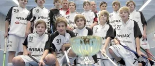 Cupvinst för Wibax