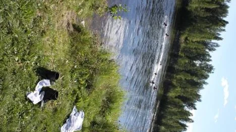 Fler än jag utnyttjade vattnet i närheten av campingen för att tvätta sig.