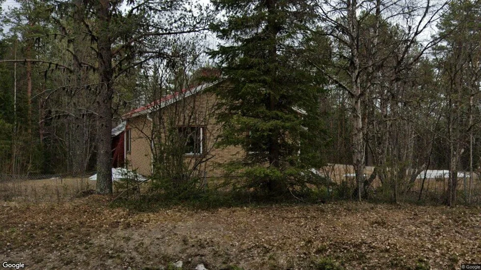 Auktsjaur 501