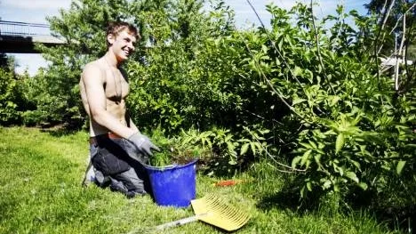 Martin Edin 17 år, hade annat sommarjobb på gång. "Tyvärr sprack det. Det här kommunala sommarjobbet ger lägre lön, men det är ändå bättre än ingenting", säger han.