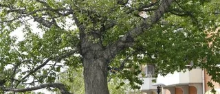 Blandat program i fullsatt kyrka