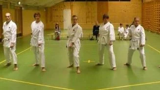 Gruppen vuxna nybörjare under gradering till rött bälte, 9 ky, från vänster: Morgan Conrad, Patrik Engman, Anna-Karin Jonsson, Jeanett Osmark, Maria Johansson, Sofia Lovén och Anette Engman.