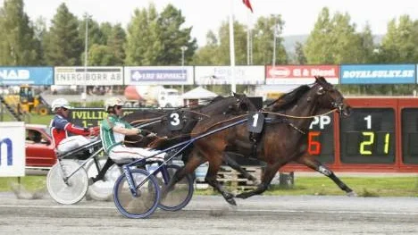 Björn Goop vann de två huvudnumren för varmblod och körde hem över en halv miljon kronor. På bilden vinner Goopen V75-3, gulddivisionen, med Go On Pale före en ettrigt spurtande Conrads Garland (Ulf Eriksson).