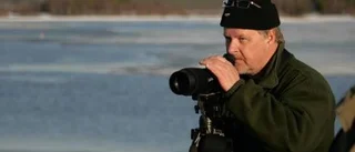 Sällsynta fåglar i sikte