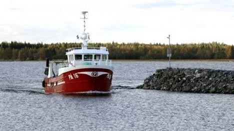Magnus Perssons styr sin båt Brottsjö mot Renöhamn för att lossa fångsten efter  premiärdagens löjfiske.