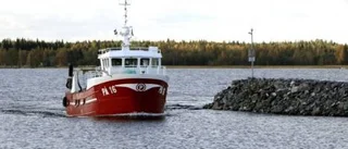 Romtider på havet