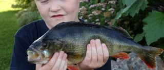 Eddie, 9 år, landade stora firrar