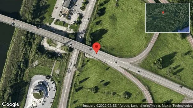 Rådjur på vägen på E20