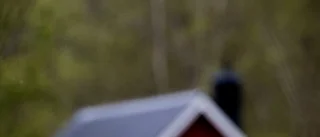Måskoloni skitar ned villaidyllen