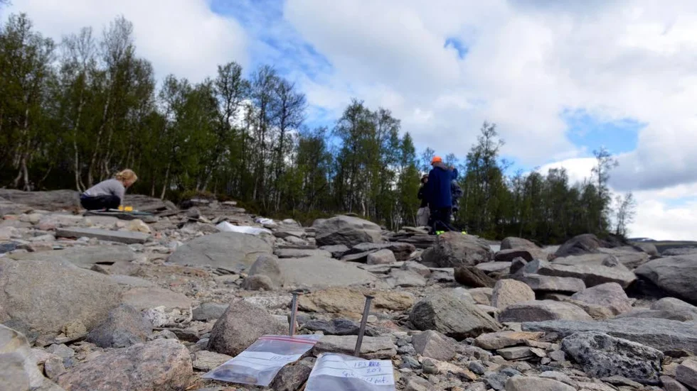 Fynd. I små plastpåsar, fastnaglade med spik i marken, ligger fynd man gjort efter en visuell avscanning av platsen.