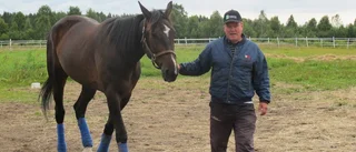 Suntory Royal är tillbaka på allvar