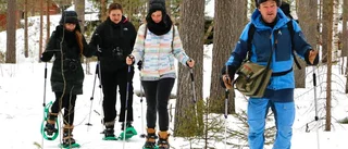 Snöskovandring med älgspaning