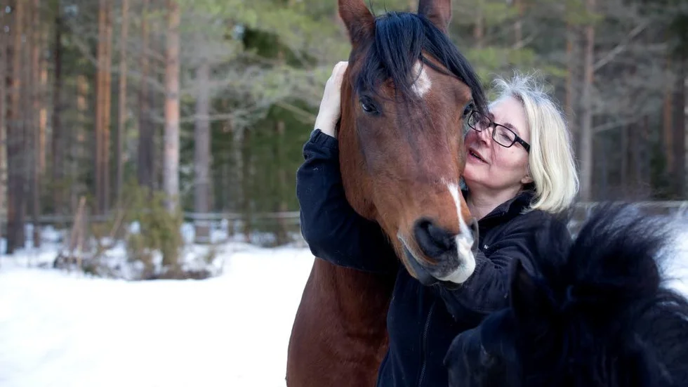 Amigo, araben som ingen fixade att rida. Sedan han kom till Lotti har hon ridit honom flera gånger. "Han stressar när man ska sitta upp, men om jag gör det inne i stallet går det bra."