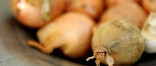 Hemmavid: Med liten budget och mycket smak