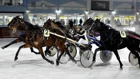 IMPONERAR. Simb Karen (nummer 2) och Jesper R Nilsson har kommit igång ordentligt sedan galoppen i debuten innan jul - ny seger i går.