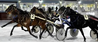 Dueller på travet