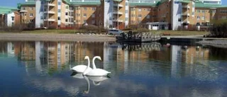 Baby fick lida i fem och en halv månad