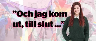 Anna Hörnell: Myten om myten bisexualitet
