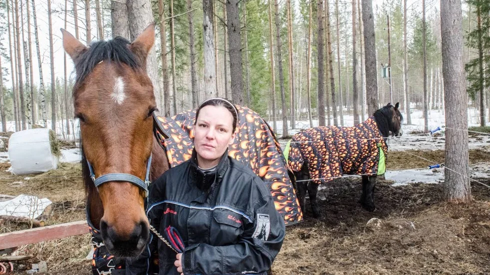 Skadad. Elisabet Åströms tävlingshäst blev skrämd av renar och skadade sig. Nu vill hon veta vilka regler som gäller.