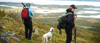 Förändring av fjälljakt kan strida mot EU-rätten