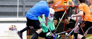Wallmark om hyllningen