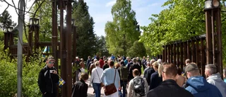 Stort intresse för nationaldagen i Luleå