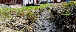 Buskörning i kyrktornets skugga