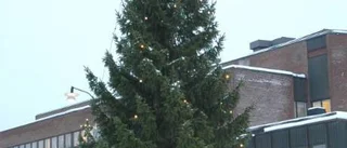 Grönt är skönt i juletid