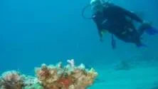 JOBB I THAILAND. Ronja Ljunghager har varit i Thailand tidigare där hon fått sin dykutbildning. Nu åker hon dit igen och ska fungera som divemaster, en sorts guide vid dykutflykter.