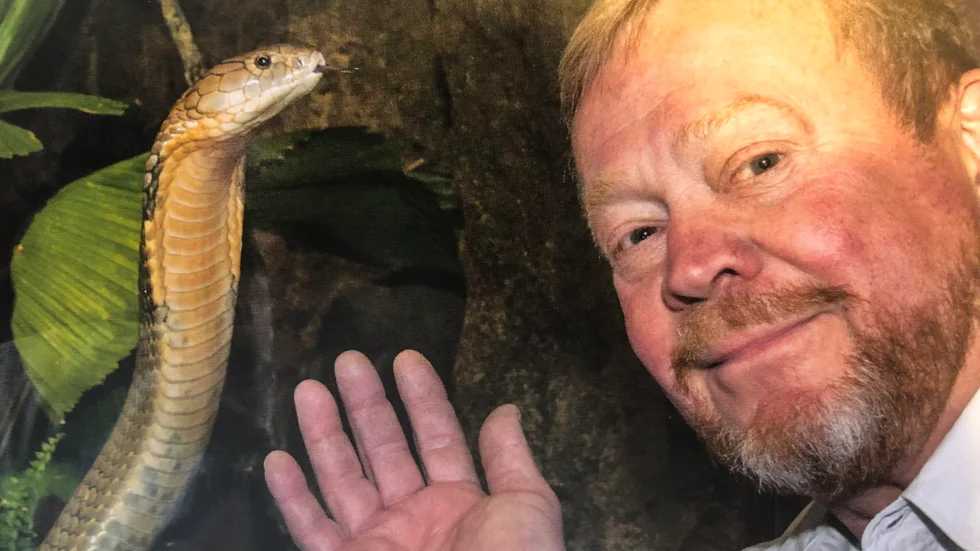 Den försvunna kungskobran tillsammans med Skansenakvariets ägare Jonas Wahlström vid ett tidigare tillfälle. Arkivbild.