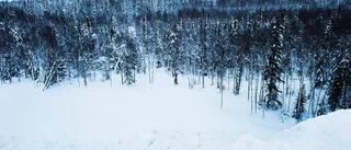 Minst två snörekord