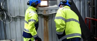 Från gröna tunnan till elnätet
