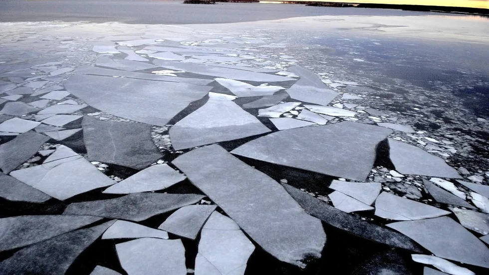 Det är ovanligt lite is i Bottenviken just nu.
"Så här lite har det inte varit sedan 2008", säger Jörgen Öberg, oceanolog på SMHI.