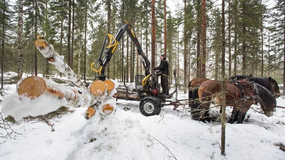 Lars-Olov börjar klockan sju på morgonen och fortsätter fram till 16.00. Mörkret är inget problem eftersom timmervagnen är utrustad med ledlampor.
