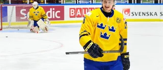 Rys(s)ar-semin