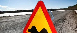 Norrbottens mesta vårtecken