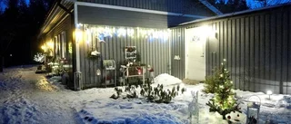 Jenny tar julpyntandet till nya nivåer