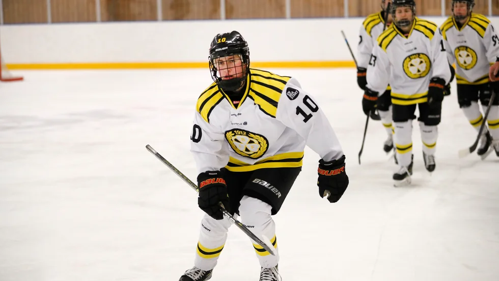 Smittspridningen i Brynäs är stoppad och om en vecka börjar SM-finalserien i SDHL. Arkivbild.