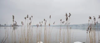 Låt inte kommunerna få bestämma om strandskyddet