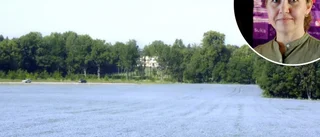 Östins erbjudande: Testa att odla en kvadratmeter lin