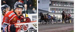 Förre VIK-hjälten om nya satsningen • "Inte ofta det dyker upp en sådan chans"