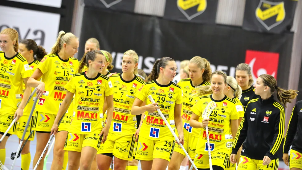 Många bekanta ansikten, men lika många nya. Tio spelare har Endre värvat under sommaren.