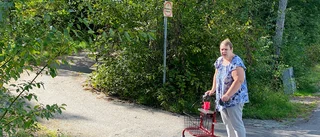 Vildvuxen gångväg i Bergvreten rensad