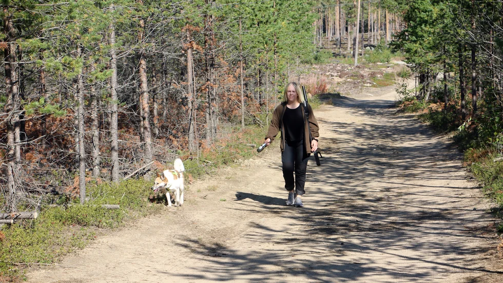 Bosse och Caroline ser fram emot älgjakten och kommer att sitta på pass i Högbacken.