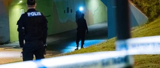Femtonåring häktad för mord i Helsingborg