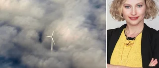 Varför vill inte Västerviks politiker skydda invånarna?