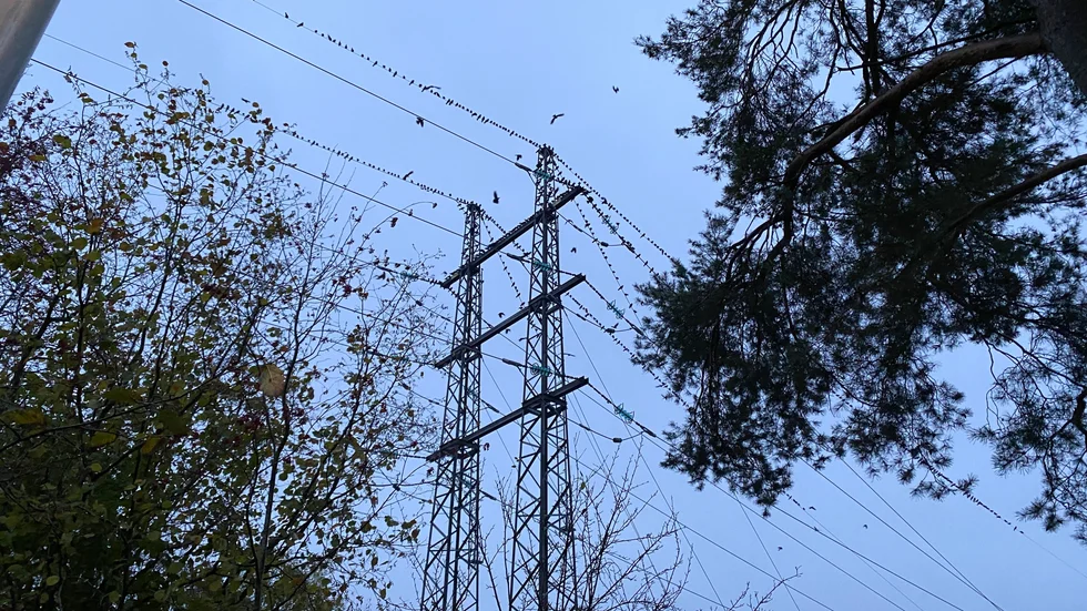Trångt i elnätet gör att det kan bli problem med elförsörjningen för nyetableringar de kommande åren.