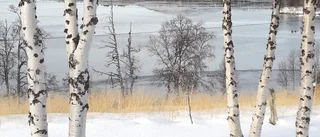 Läsarbild av Heidi Grossman: Isläggning på Kivijärvi